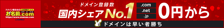 ドメイン取得の代名詞-お名前.com