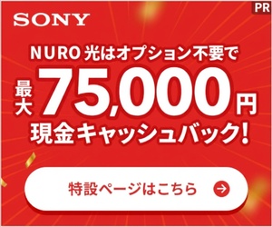 NURO光 forマンション お申し込みサイト