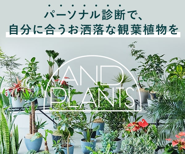 東京 代々木周辺 素敵な観葉植物に出会える園芸店5選 旅と暮らしメディア