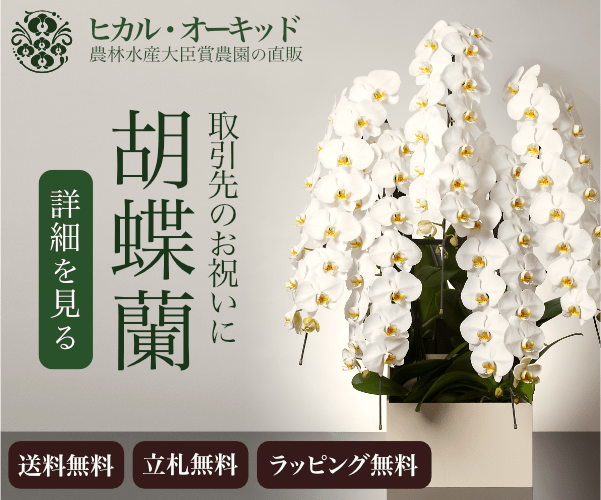 【ヒカル・オーキッド】農園直販の胡蝶蘭を開店・移転・記念日のお祝いに